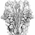 009arbol q habla